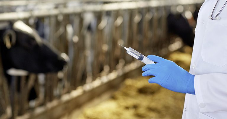 Antibiotika in der Schweiz mehr als halbiert.