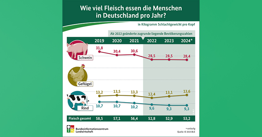 Infografik Fleischverzehr 2024 BZL